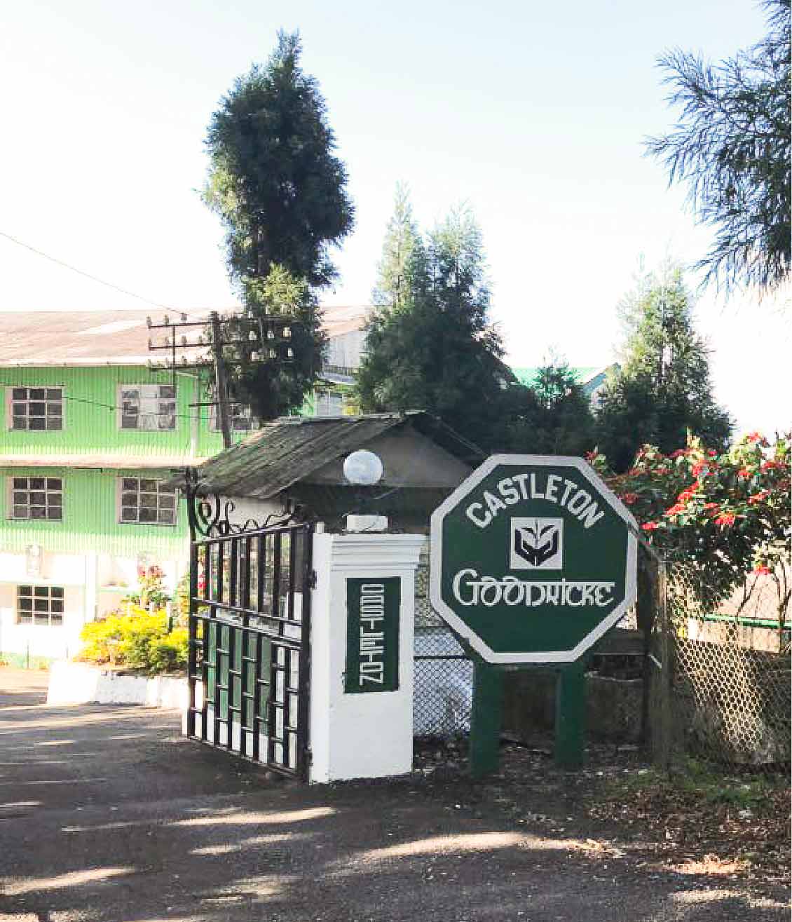 Castleton Tea Estate Buy Tea Online from Darjeeling Castleton Estate